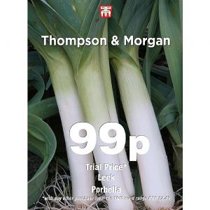 Thompson & Morgan Leek Porbella 