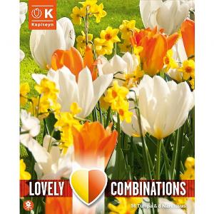 Tulip & Narcisssus Combination Pack - Yellow & Orange Shades (24 Bulbs)