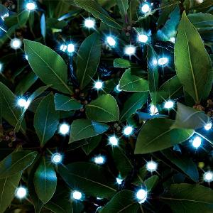 Cole & Bright 100 White LED Dual Power String Lights