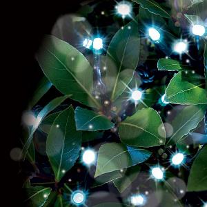 Cole & Bright Dual Powered Solar 200 LED String Lights - White