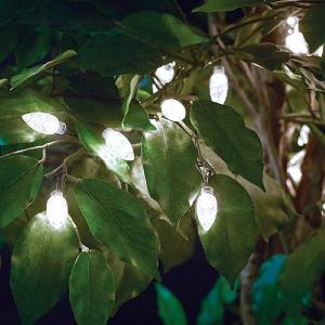 Cole & Bright Dual Powered Solar 50 Extra Large Bulb String Lights - White
