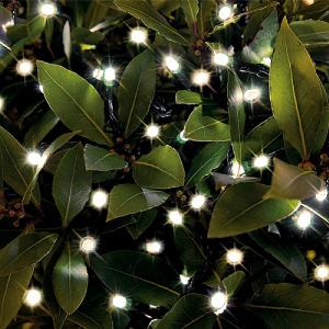 Cole & Bright 100 Warm White LED Dual Power String Lights