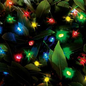 Cole & Bright 100 Multicoloured LED Dual Power String Lights