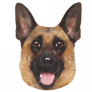 Pet Face German Shepherd Cushion