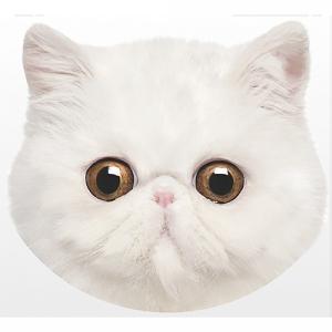 Pet Face Exotic Cat Cushion