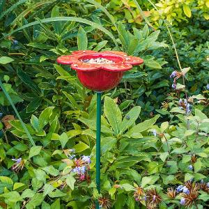 Wildlife World Ceramic Petal Feeder Red