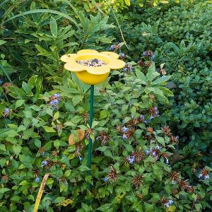Wildlife World Ceramic Petal Feeder Yellow