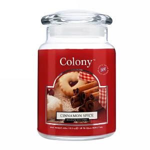 Colony Cinnamon Spice Large Jar Candle