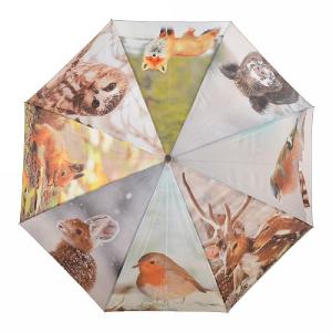 Fallen Fruits Umbrella Winter