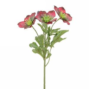 Burgundy Iced Hellebore Spray 38cm