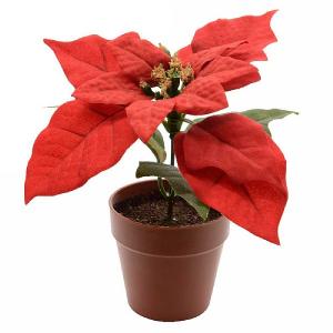 Decoris Christmas Red Silk Poinsettia in Pot 14cm