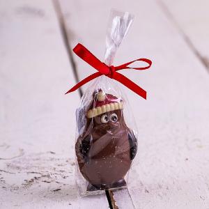 Food at Webbs Milk Chocolate Hanging Robin 30g