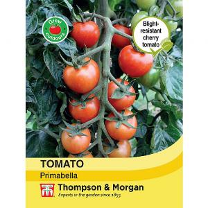 Thompson & Morgan Tomato Primabella Seeds
