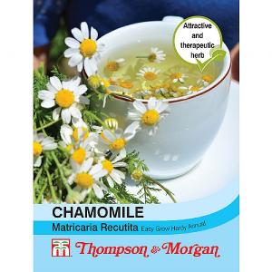 Thompson & Morgan Chamomile