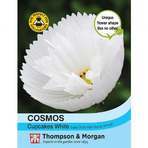 Thompson & Morgan Cosmos Cupcakes - White