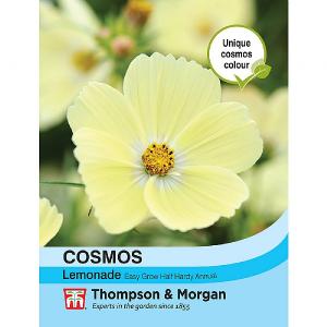 Thompson & Morgan Cosmos Lemonade