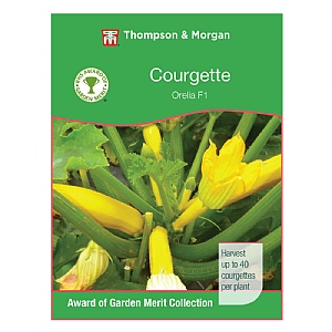 Thompson & Morgan Award of Garden Merit Courgette Orelia F1 Hybrid