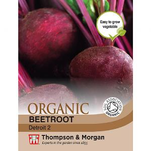 Thompson & Morgan Beetroot Detroit 2 (Organic)
