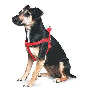 Ancol Red Padded Harness - Various Sizes