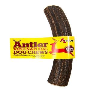 Antos Antler