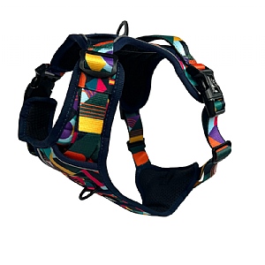 Twiggy Tags Aurora Adventure Harness - Various Sizes