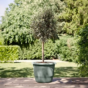 Elho Amiga Round Planter - Various Colours (35cm)