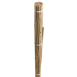 Grow It Bamboo Canes Bundle