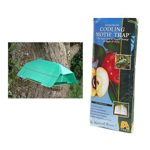 Pheromone Codling Moth Trap