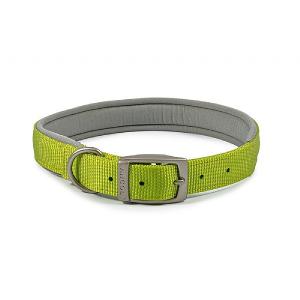 Ancol Viva Padded Nylon Collar Lime