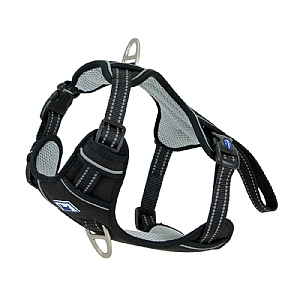 Ancol Viva Exercise & Travel Harness (Various Sizes) - Black