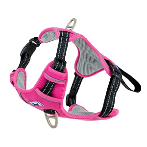 Ancol Viva Exercise & Travel Harness (Various Sizes) - Pink
