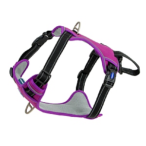 Ancol Viva Exercise & Travel Harness (Various Sizes) - Purple