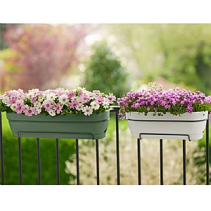 Elho Vibia Campana Trough 50cm (Various Colours)