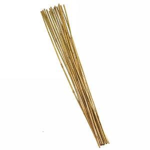 Smart Garden Extra Thick Bamboo Canes - 10 Pack