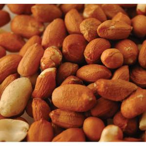 Premium Peanuts for Wild Birds - 2 Sizes