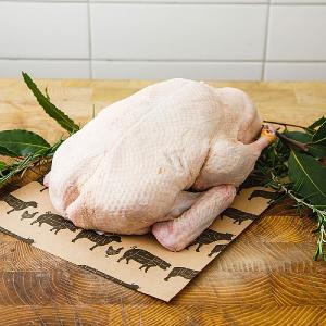 Free Range Goose