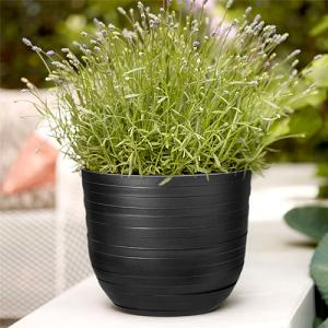 Elho Fuente 30cm Lily Round Planter (Various Colours)