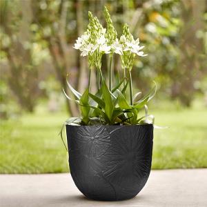 Elho Fuente 38cm Lily Round Planter (Various Colours)