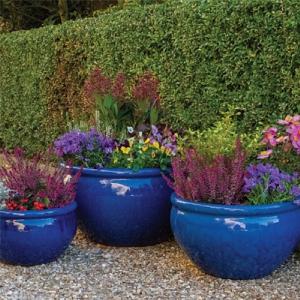 Woodlodge Glazed Pro Bowl (Various Sizes)