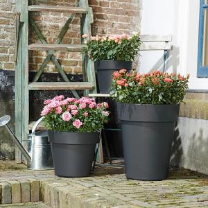 Elho Green Basics Top Planter 40cm