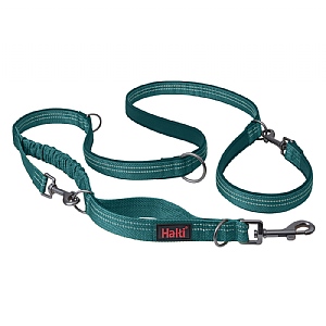Halti Anatomy Multi Lead Teal (Various Sizes)