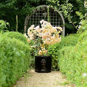 Woodlodge Heritage Edwardian Cylinder Ceramic Planter Black (Various Sizes)