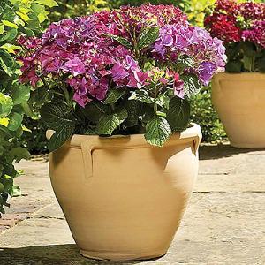 Apta Handcrafted Natural Himalaya Terracotta Planter (Various Sizes)