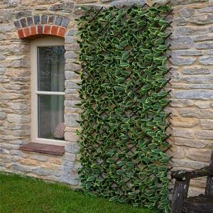 Smart Garden Hosta Leaf Trellis (Various Sizes)