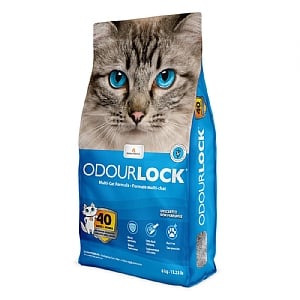 Intersand OdourLock Cat Litter
