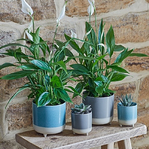 Ivyline Jolie Matte Reactive 3 Leg Cacti Pot Cover Sky Blue (Various Sizes)