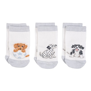 Wrendale 'Little Paws' Dogs Baby Socks Set