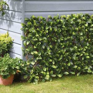 Smart Garden Maple Leaf Willow Trellis (Various Sizes)