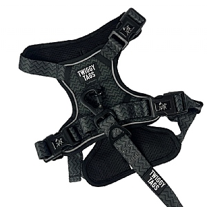 Twiggy Tags Petrichor Adventure Harness - Various Sizes