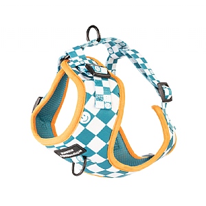 Pawsome Paws Boutique Teal Checkered Adjustable Harness (Various Sizes)